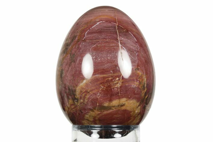 Colorful, Polished Petrified Wood Egg - Madagascar #245366